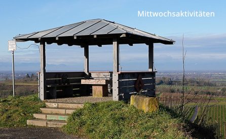 3-0_Logo-Mittwochswanderer_Schriftzug_oben-rechts